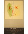 PICASSO. ELS LLIBRES IL.LUSTRATS