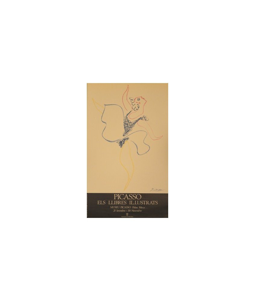 PICASSO. ELS LLIBRES IL.LUSTRATS