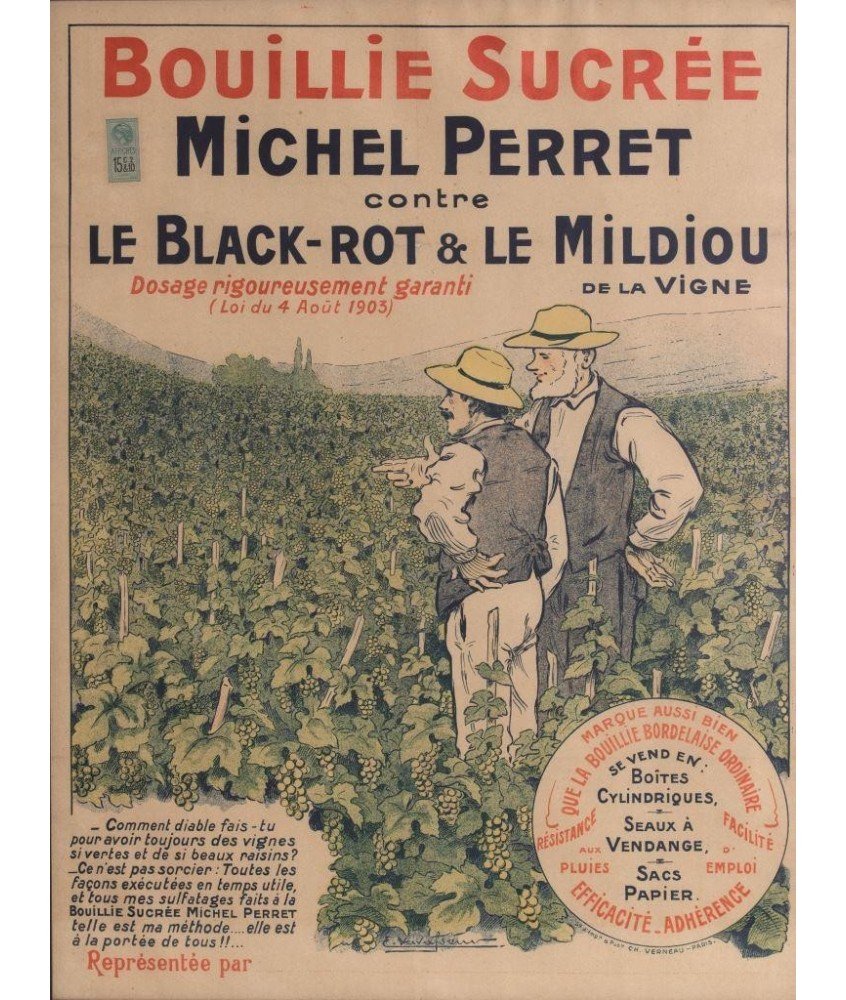 BOUILLIE SUCREE MICHEL PERRET