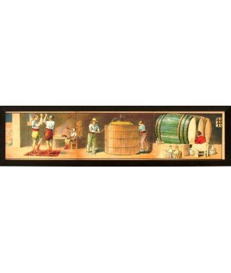 CULTIVATION OF THE VINE 3 POSTERS (RAILLE - VINTAGE - WINE PREPARATION)