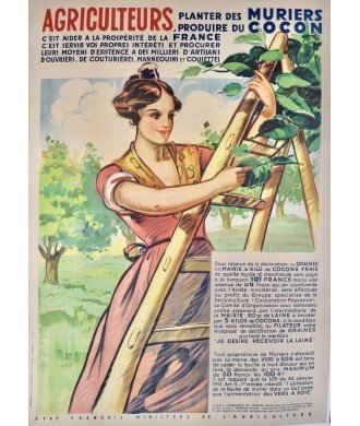 Original French Mulberry & Silk Poster | Vintage Agricultural Art