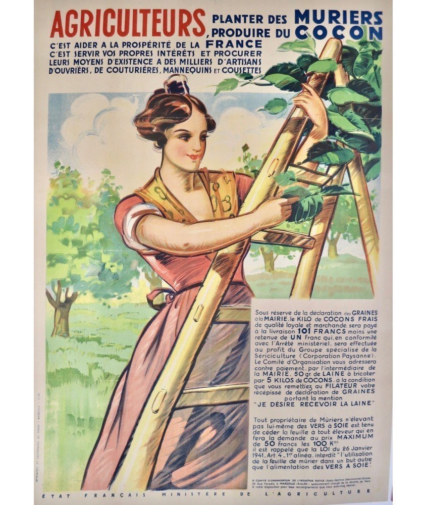 Póster original francés de moreras y seda | Ilustración agrícola vintage