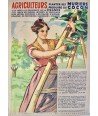 Póster original francés de moreras y seda | Ilustración agrícola vintage