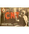 CNT ANARCOSINDICALISNO REVOLUCION COTIDIANA