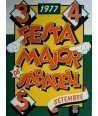 FESTA MAJOR DE SABADELL