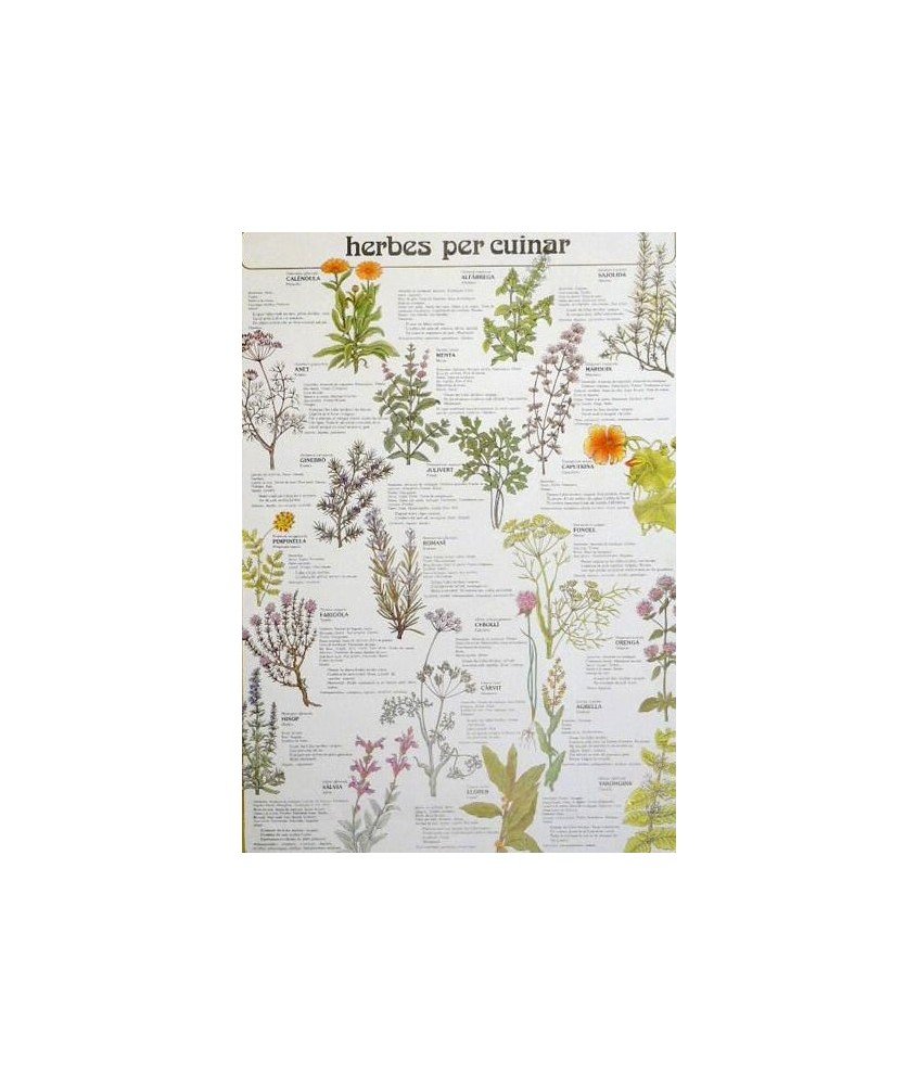 HERBES PER CUINAR
