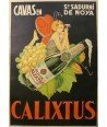 CALIXTUS