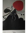 MIRÓ. DONA DAVANT EL SOL